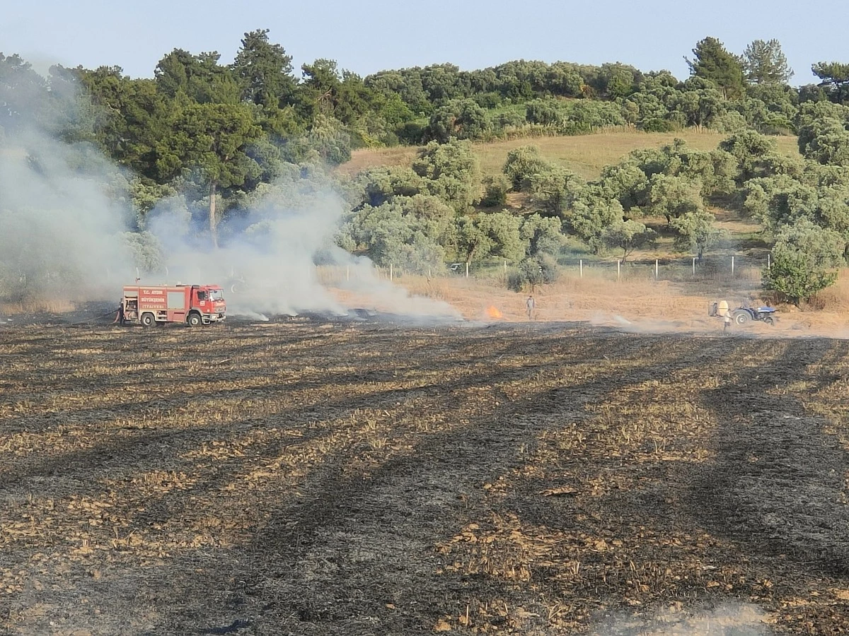 Buğday tarlasında çıkan yangın korkuttu