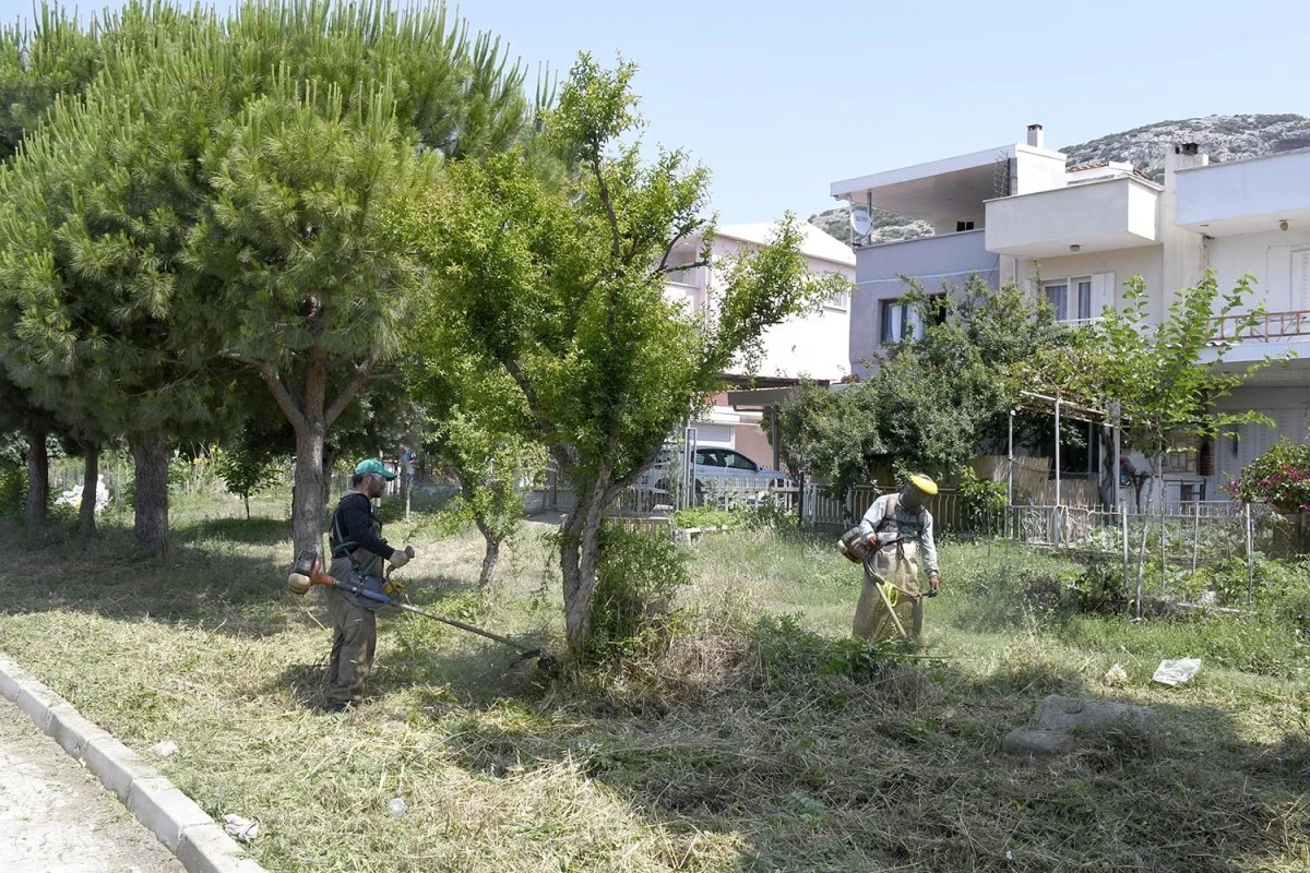 Kuşadası’nda yeşil seferberlik sürüyor
