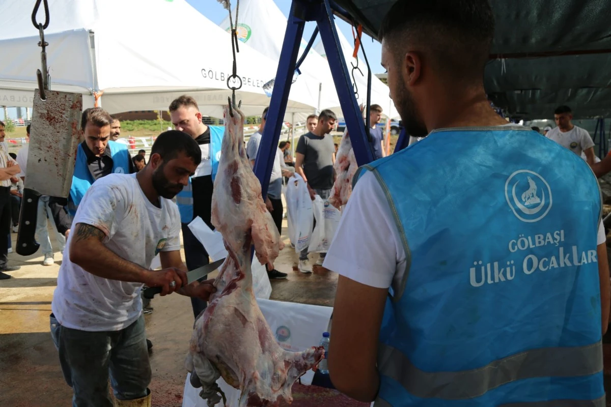 Ankara &Uuml;lk&uuml; Ocakları ihtiya&ccedil; sahipleri i&ccedil;in 400 kurban kesti