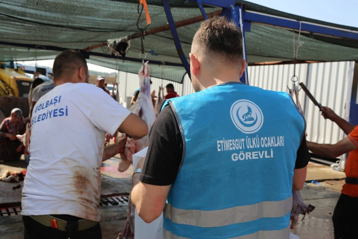 Ankara Ülkü Ocakları ihtiyaç sahipleri için 400 kurban kesti