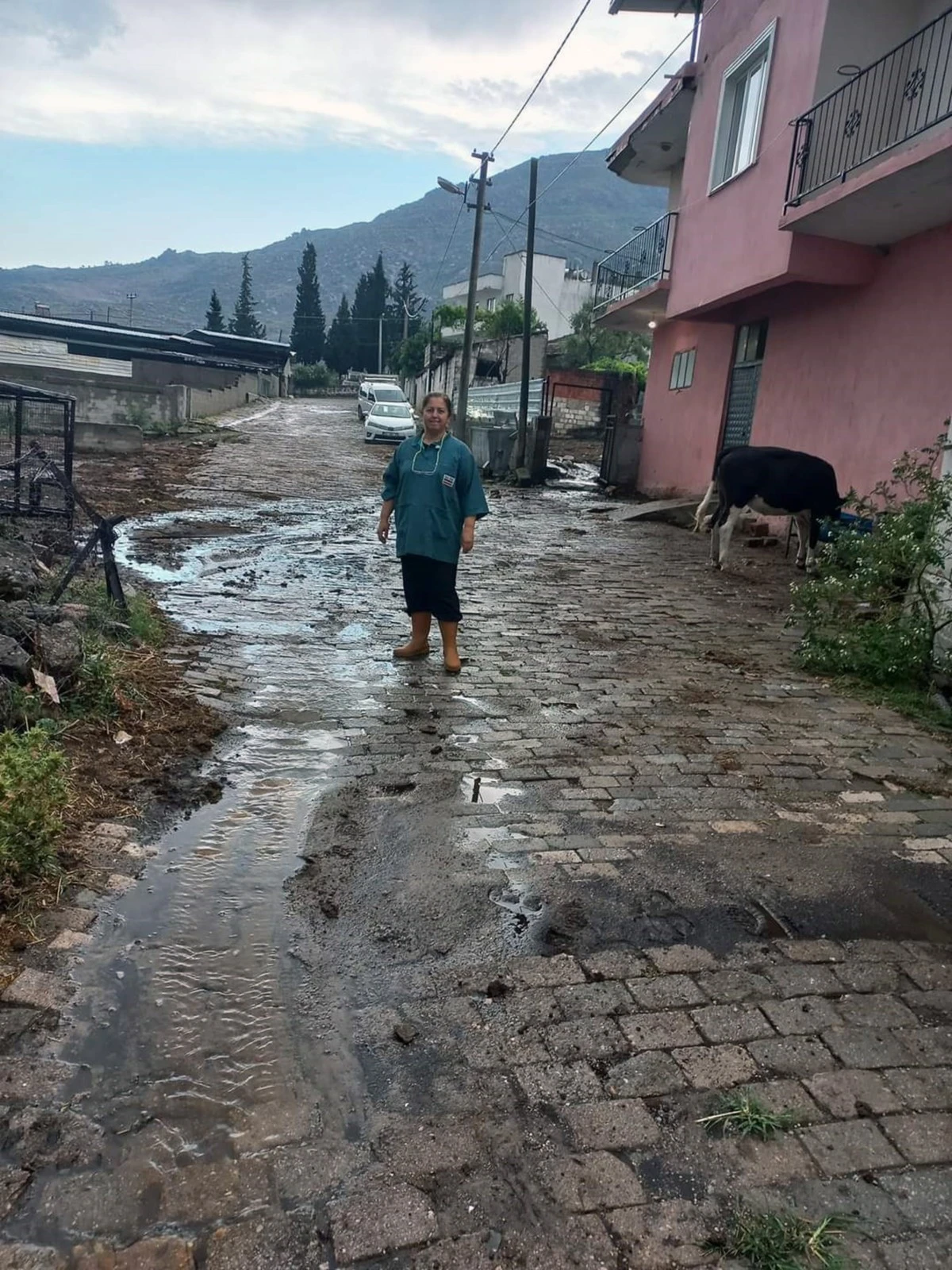 Çine'de sel: 4 büyükbaş hayvan kayboldu, traktör sel sularına kapıldı