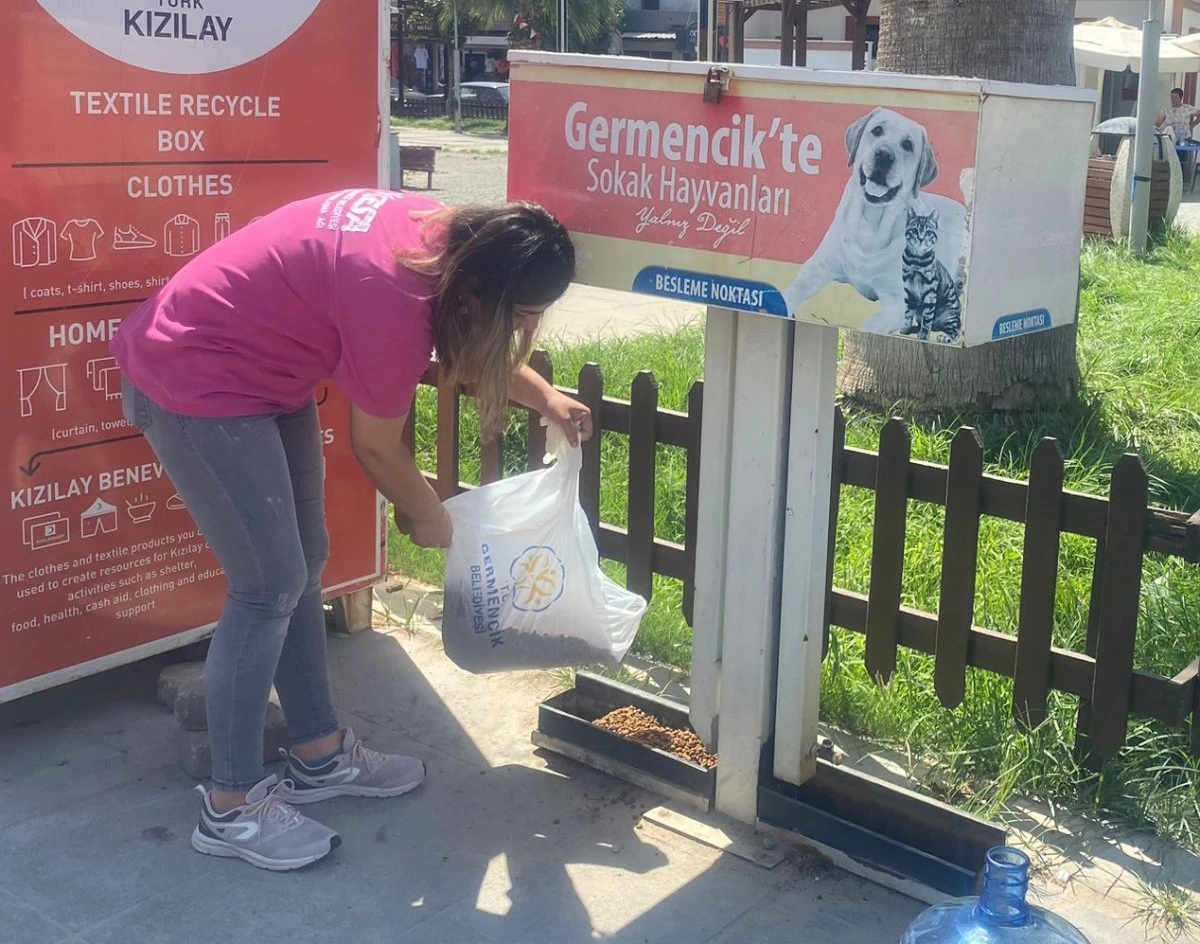Germencik Belediyesi kavurucu sıcaklarda can dostlar için seferber oldu