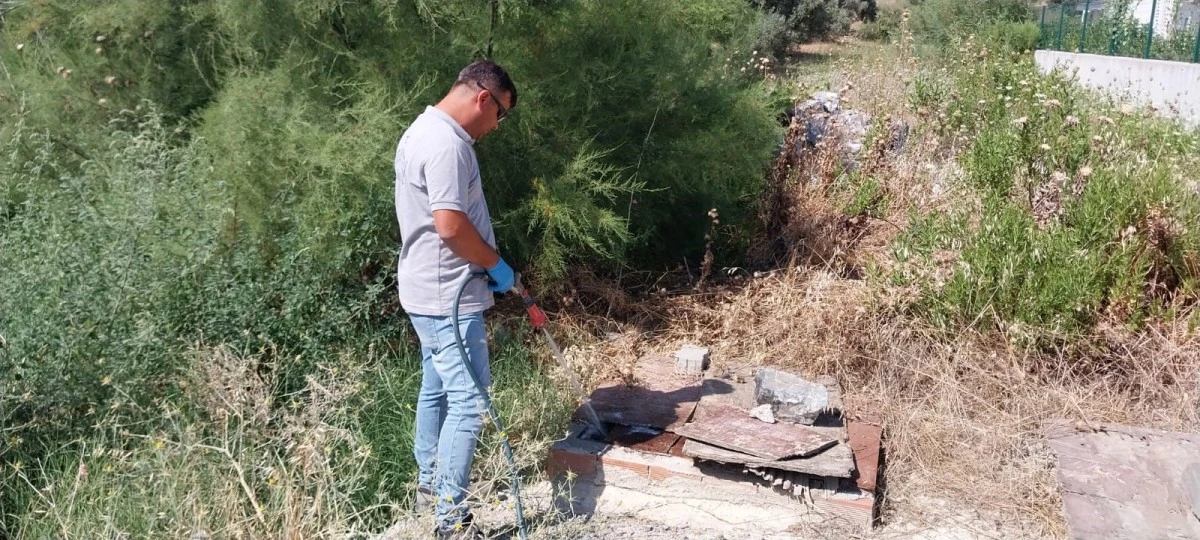 Söke Belediyesi’nin mücadelesi sonuç veriyor