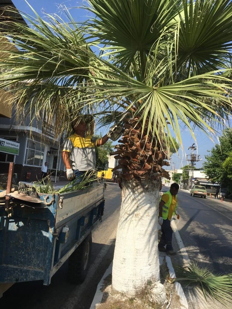 Didim Belediyesi kent genelinde çalışmalarını sürdürüyor