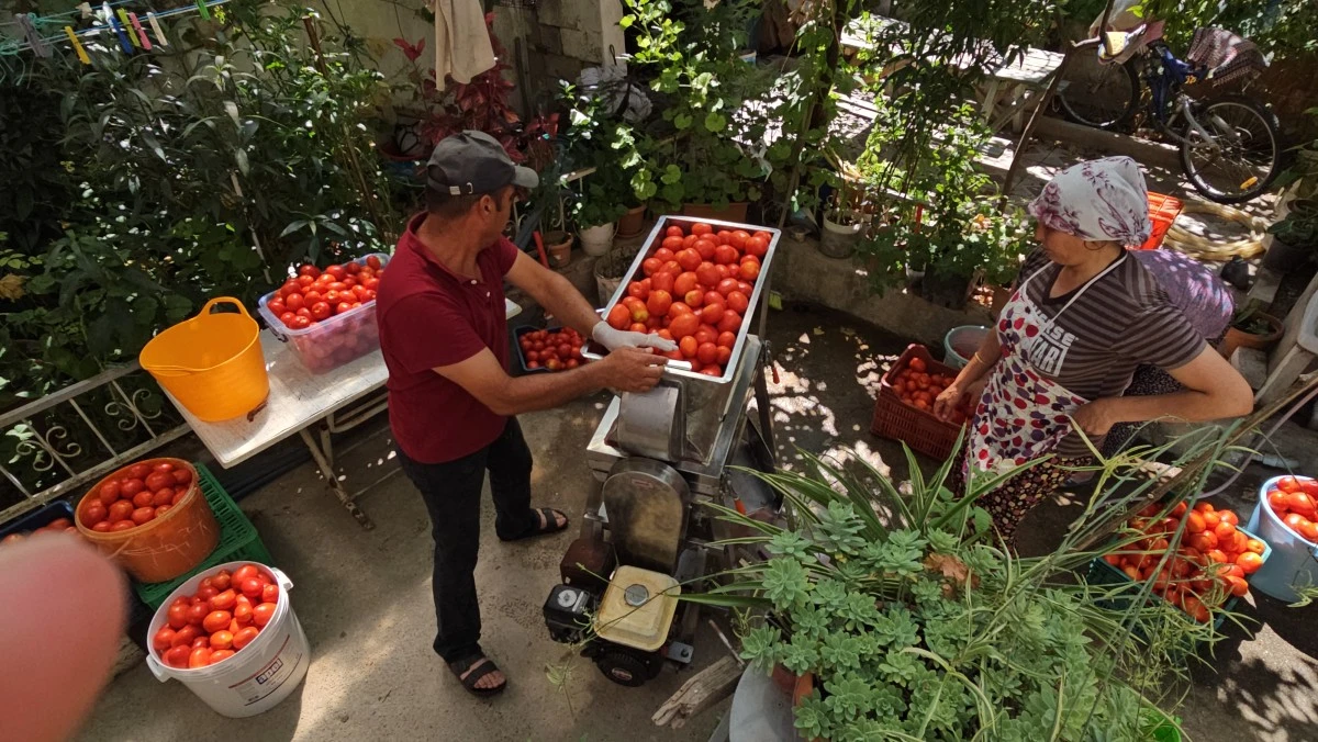 'Alo Salçacı' hattını kurdu