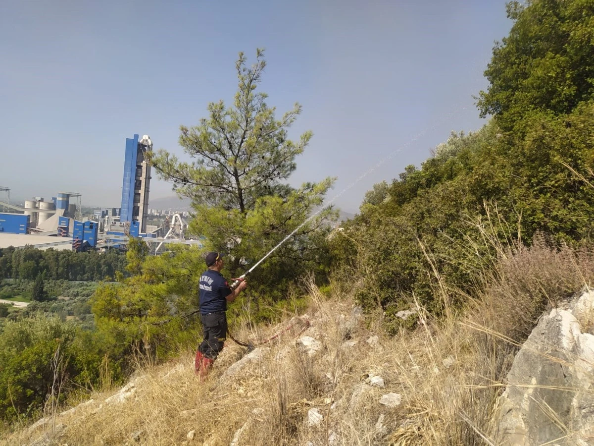 Söke'deki yangında itfaiye ekipleri alevlerle mücadele etti