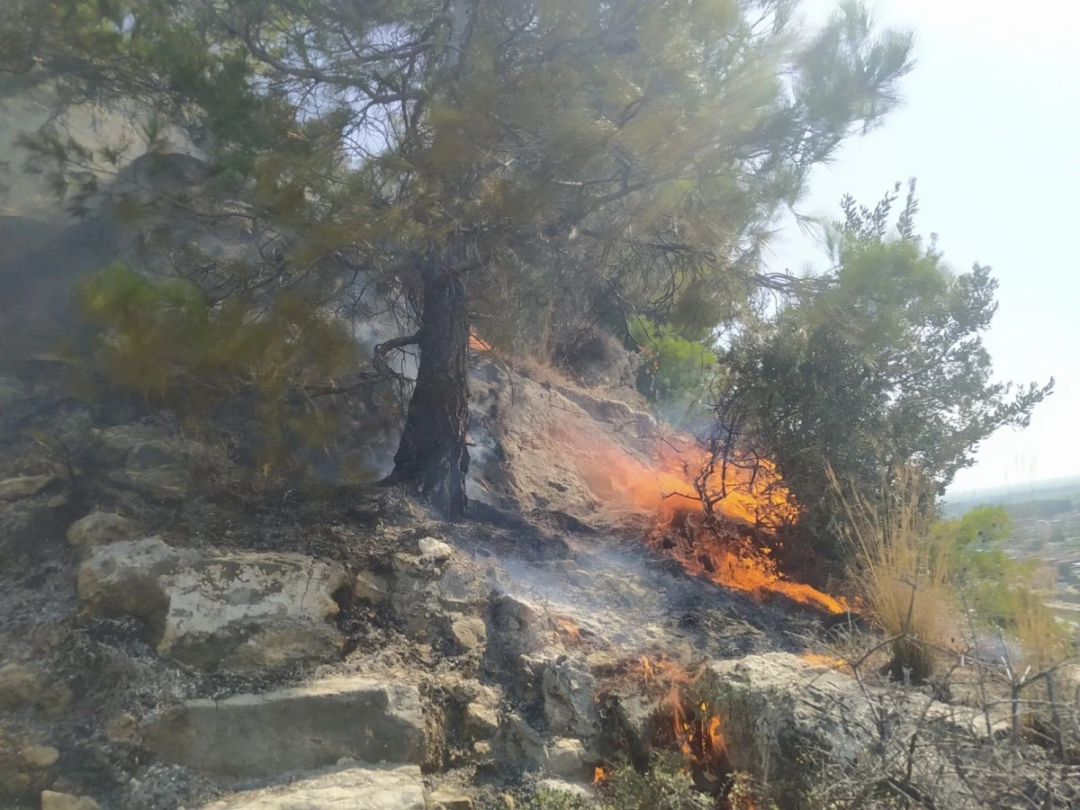 Söke'deki yangında itfaiye ekipleri alevlerle mücadele etti
