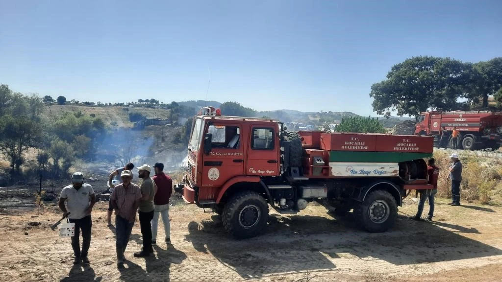 Ko&ccedil;arlı&rsquo;da zirai alan ve orman yangını