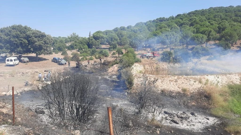 Koçarlı’da zirai alan ve orman yangını