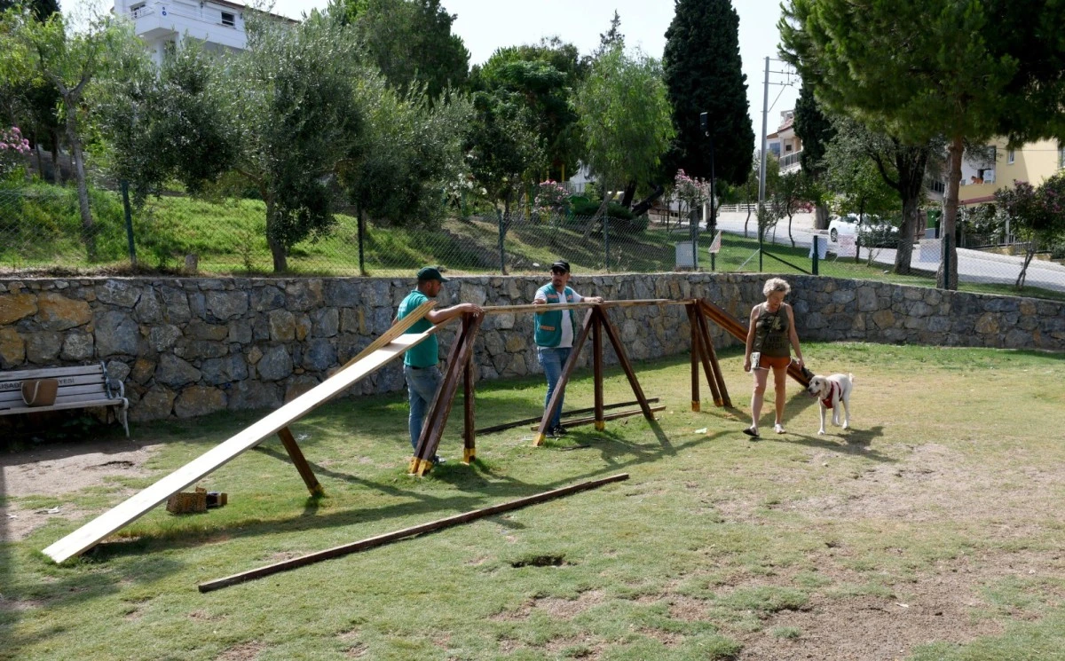 Kuşadası Belediyesi’nden can dostların park alanında bakım çalışması