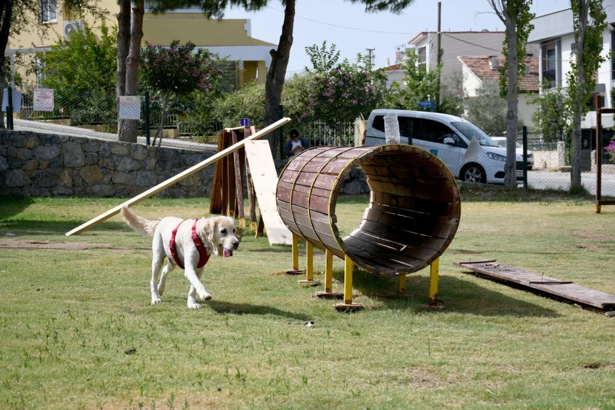 Kuşadası Belediyesi’nden can dostların park alanında bakım çalışması