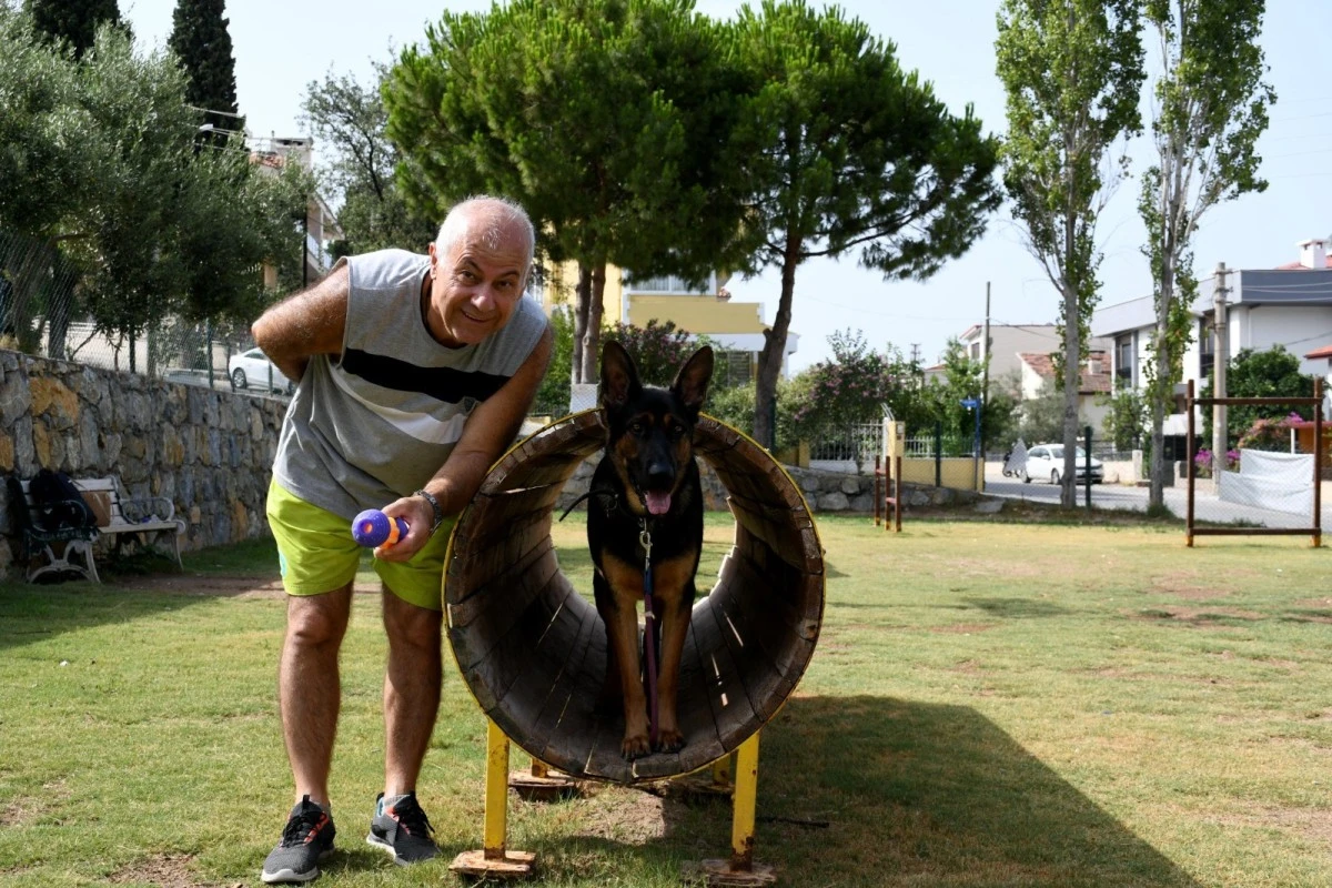 Kuşadası Belediyesi’nden can dostların park alanında bakım çalışması