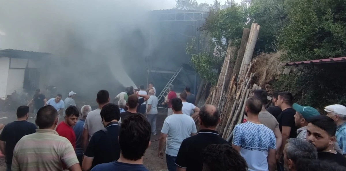 Alevlerin arasında kalan otomobil kullanılamaz hale geldi