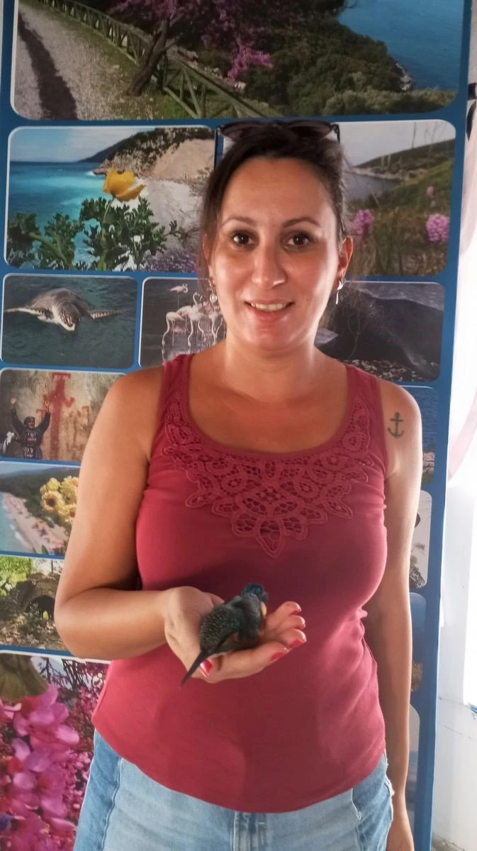 Bitkin halde bulunan yalıçapkını, yeniden doğaya salındı