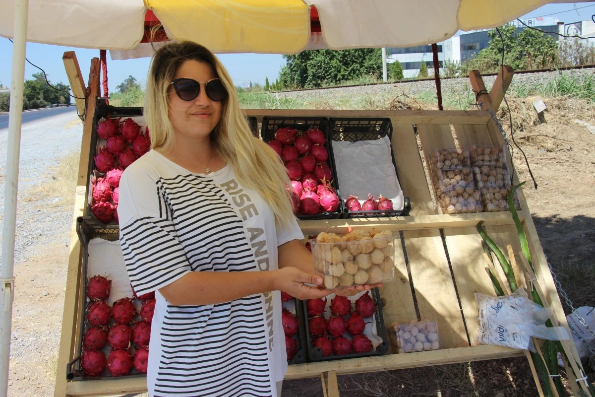 Faydaları saymakla bitmiyor, 250 gramı 50 TL'den satılıyor