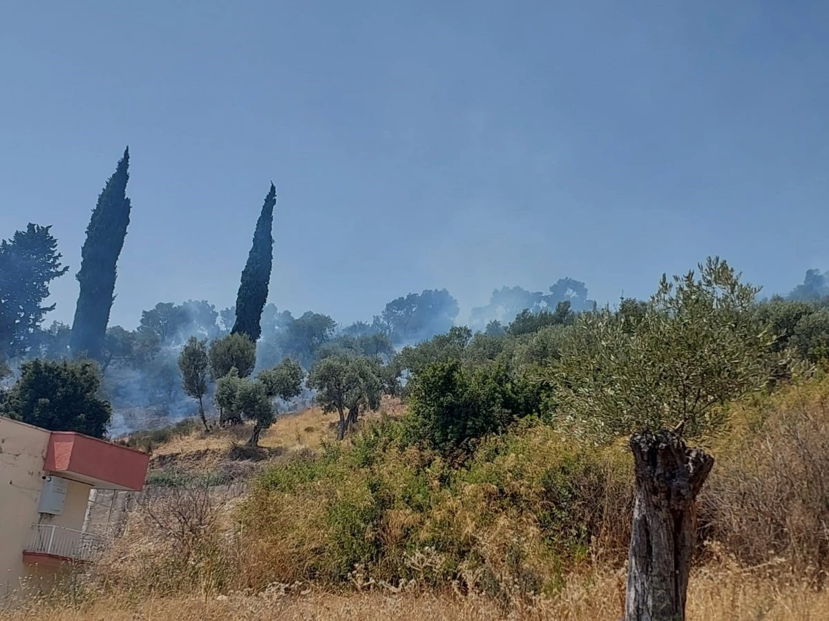 Söke’deki yangın kısmen kontrol altına alındı