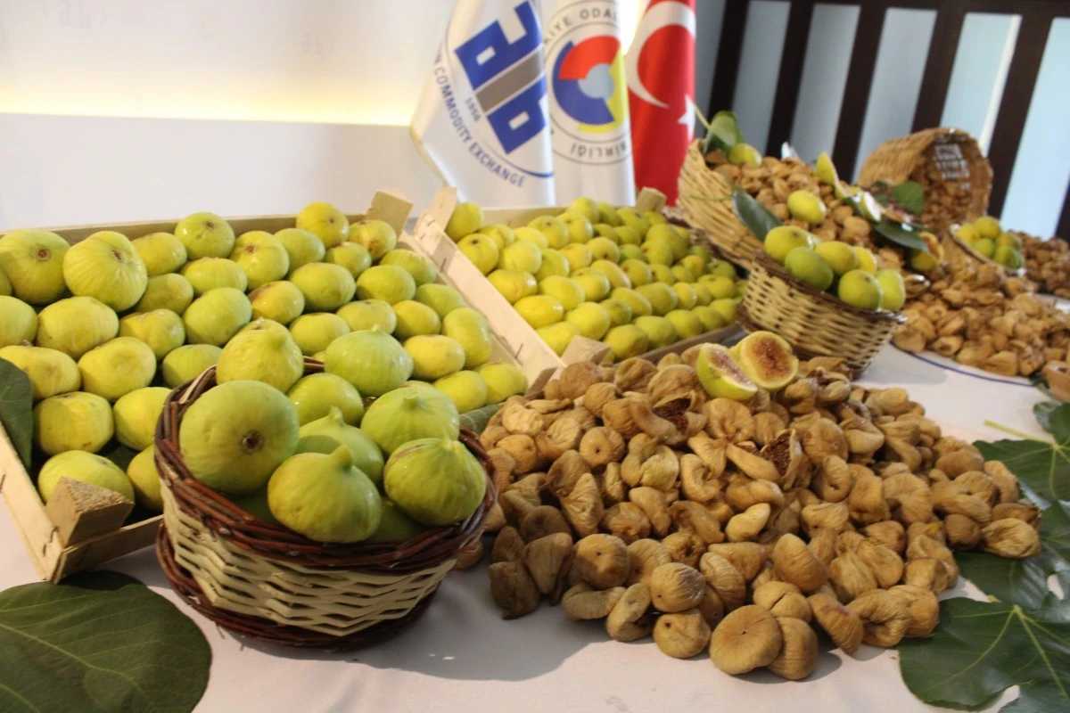 Aydın'da sezonun ilk kuru inciri 350 liradan satıldı