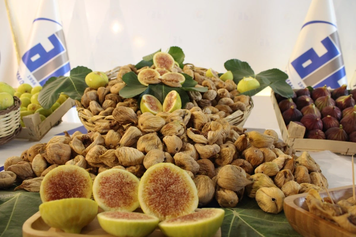 Aydın'da sezonun ilk kuru inciri 350 liradan satıldı
