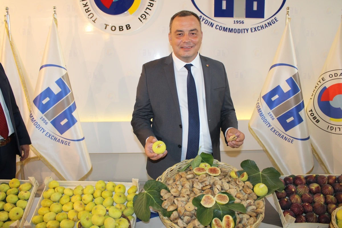 Aydın'da sezonun ilk kuru inciri 350 liradan satıldı