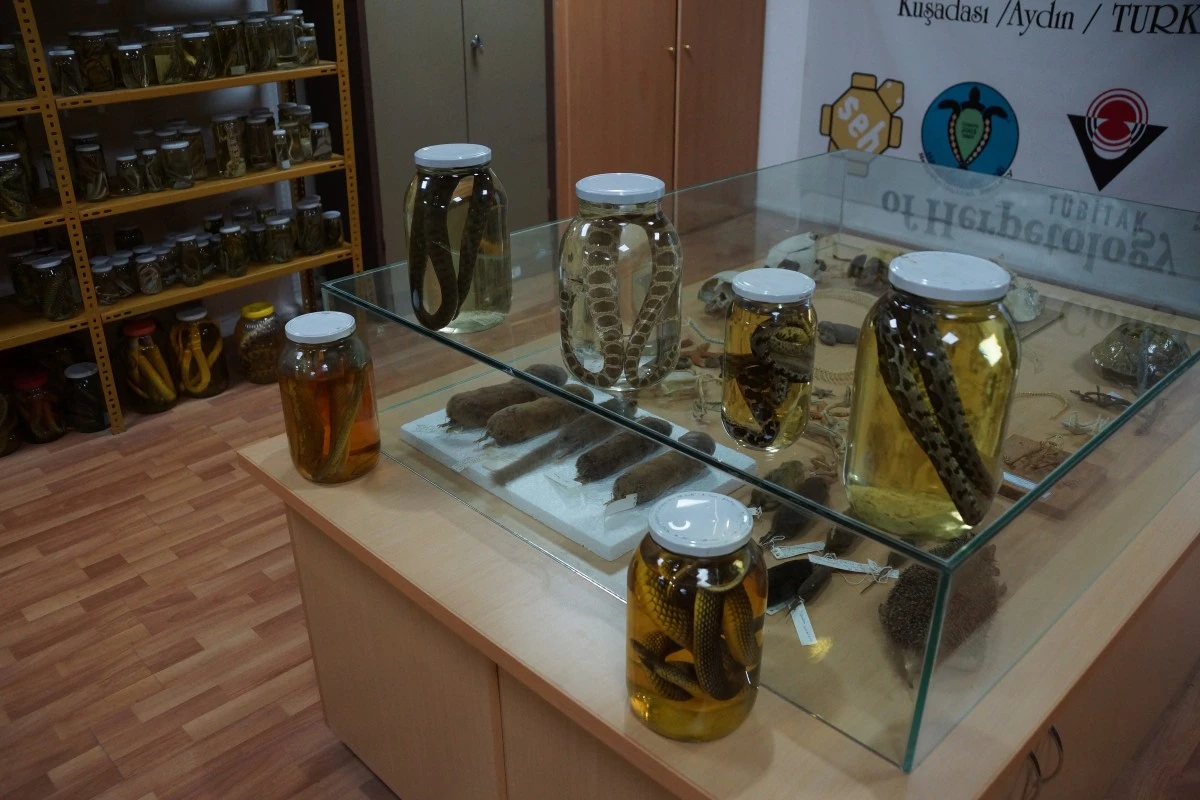Korkularını bu müzede yeniyorlar