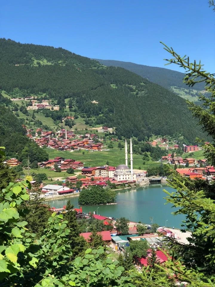 Küresel ısınma yayların değerini arttırdı