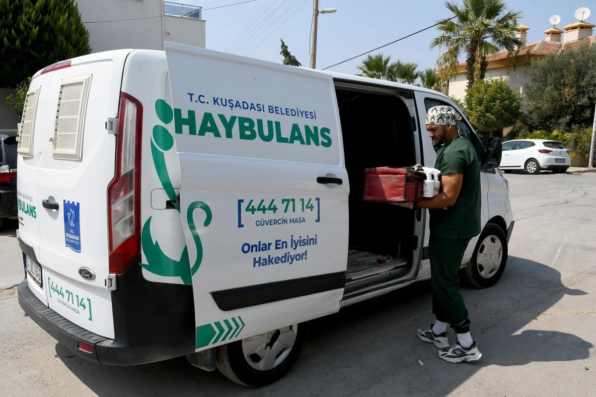 Kuşadası’nda sahipsiz can dostlar şefkatli ellerde