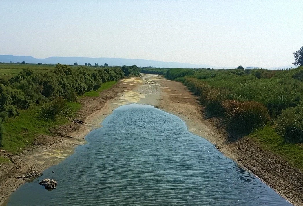 Menderes kurudu, yüzlerce balık ölmeye başladı