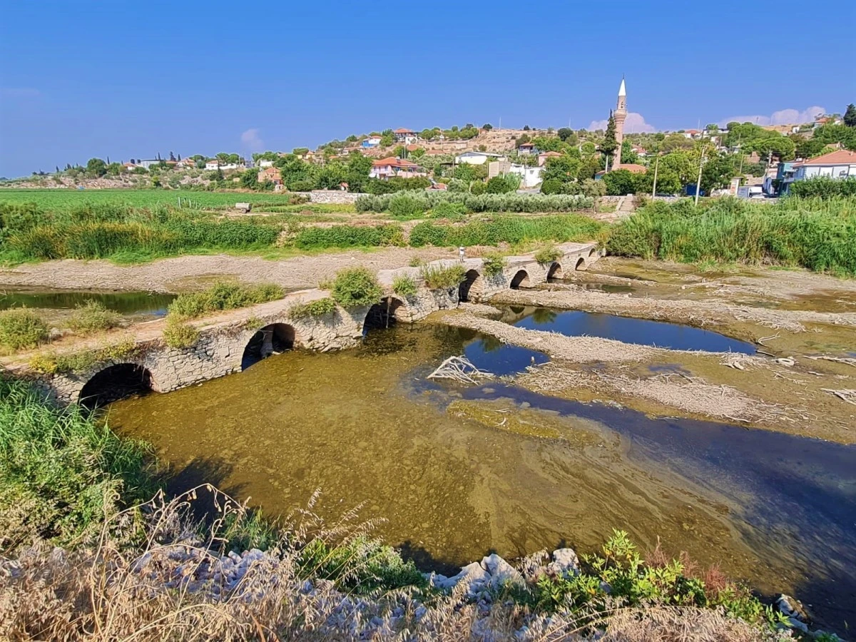 Menderes kurudu, yüzlerce balık ölmeye başladı