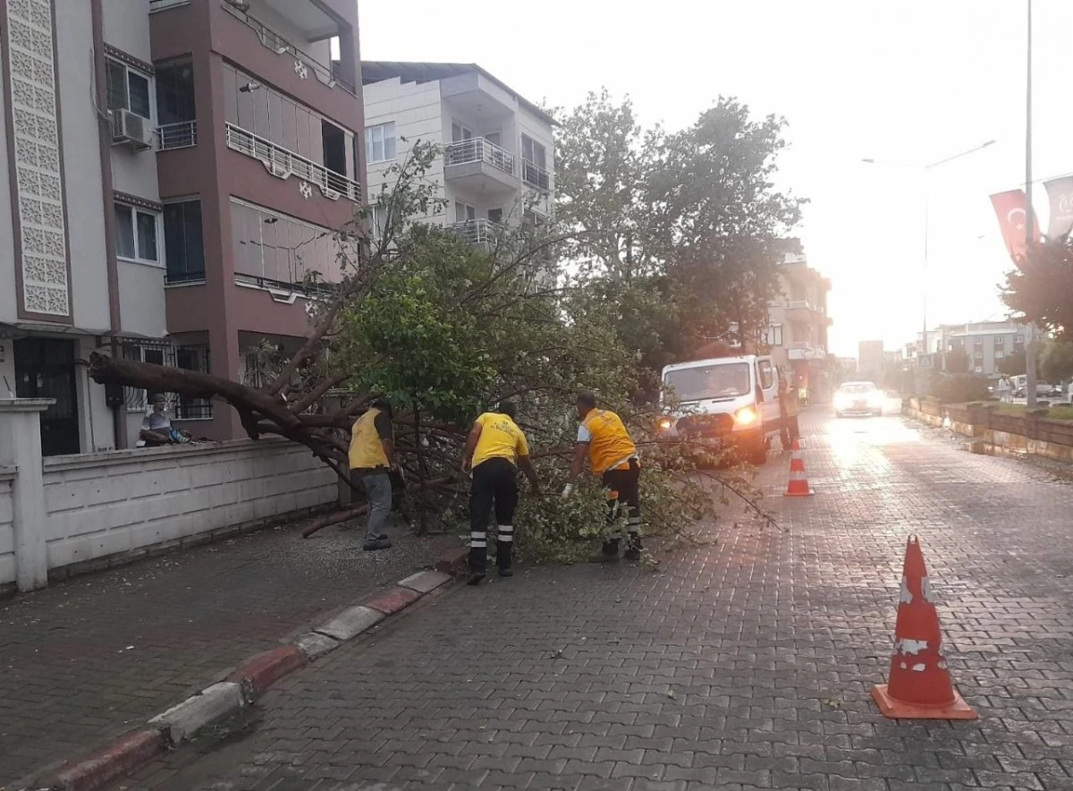 Büyükşehir’den Nazilli’de anında müdahale
