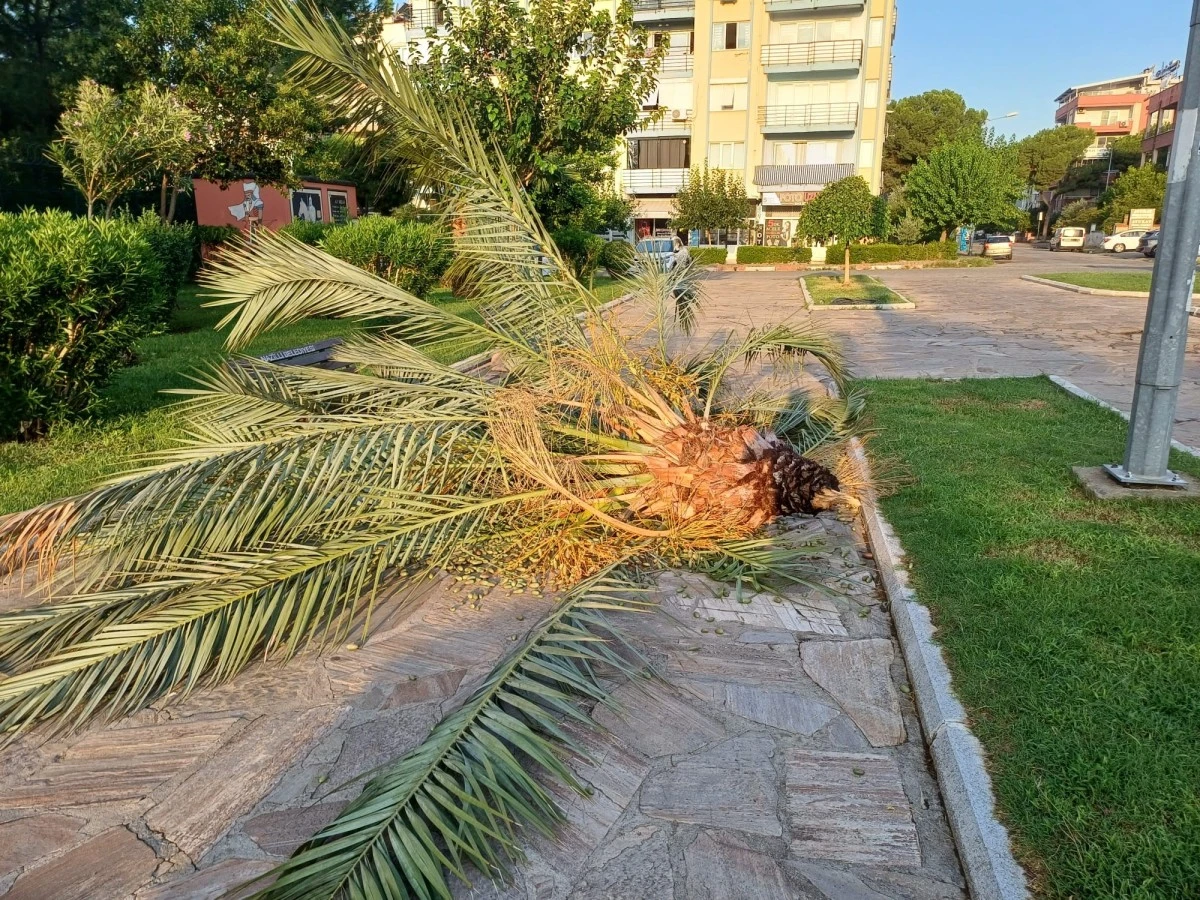 Nazilli Belediyesi selden etkilenen mahallelerde detaylı çalışmalarını sürdürüyor