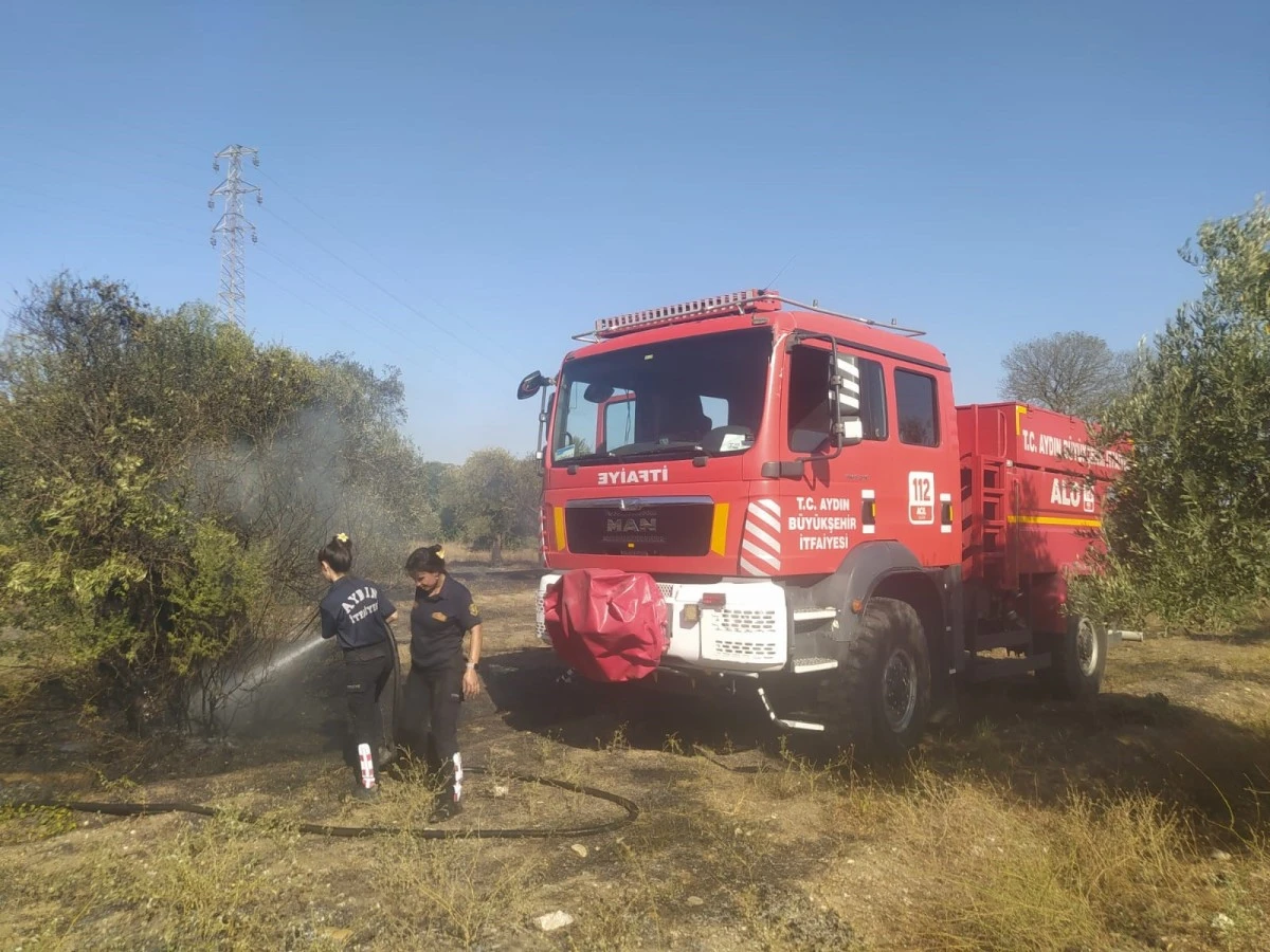 Aydın Büyükşehir İtfaiyesi'nden Umurlu'daki yangına hızlı müdahale