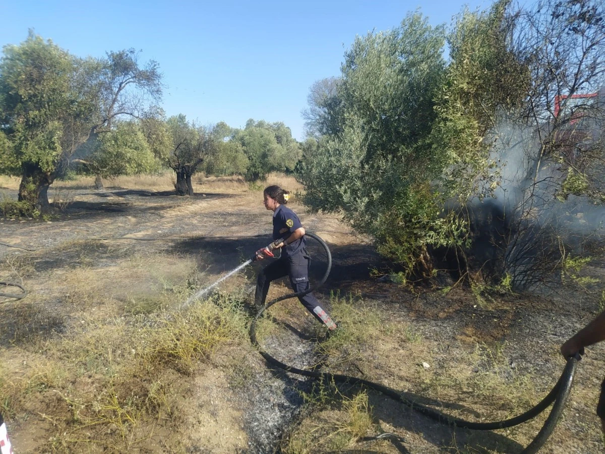 Aydın Büyükşehir İtfaiyesi'nden Umurlu'daki yangına hızlı müdahale