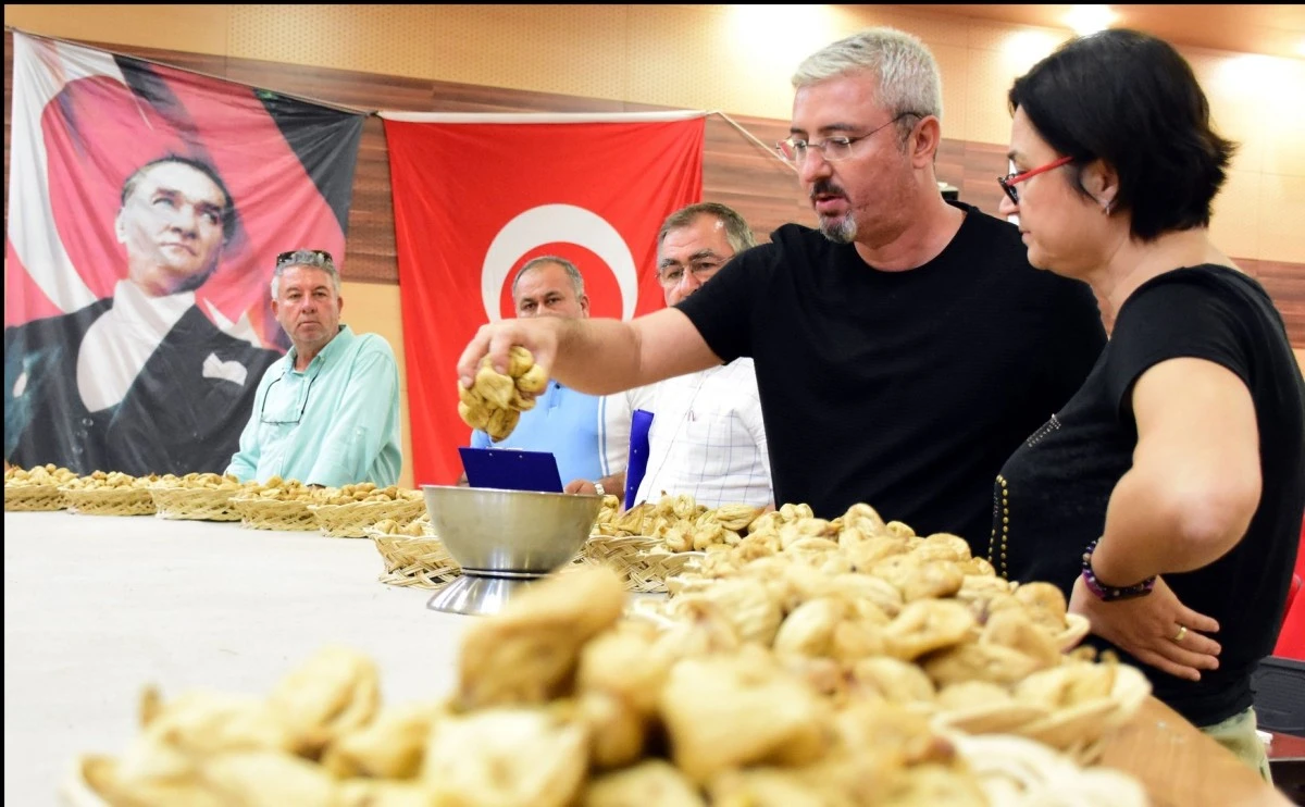 En iyi incir yetiştiricisi seçildi