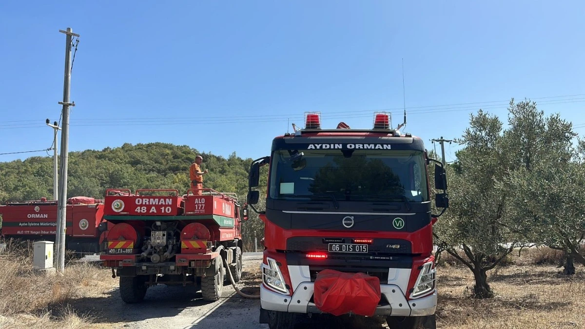 Kuşadası’ndaki orman yangını büyümeden söndürüldü