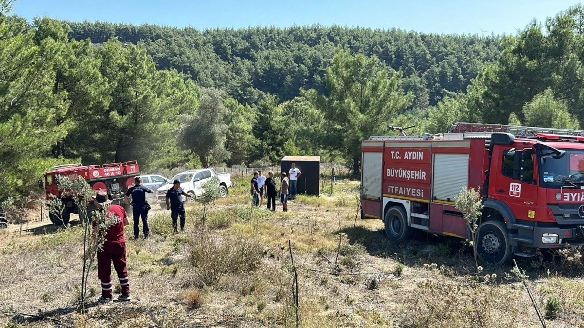 Kuşadası’ndaki orman yangını büyümeden söndürüldü