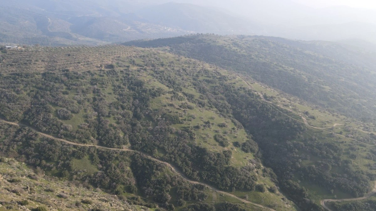 Nazilli’de Organize Sanayi ve Serbest Bölge için çalışmalar başladı