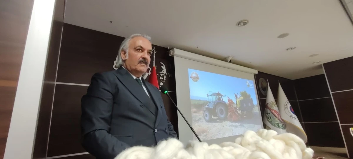 Türkiye'nin pamuk ambarı Söke'nin pamuğu tescillendi