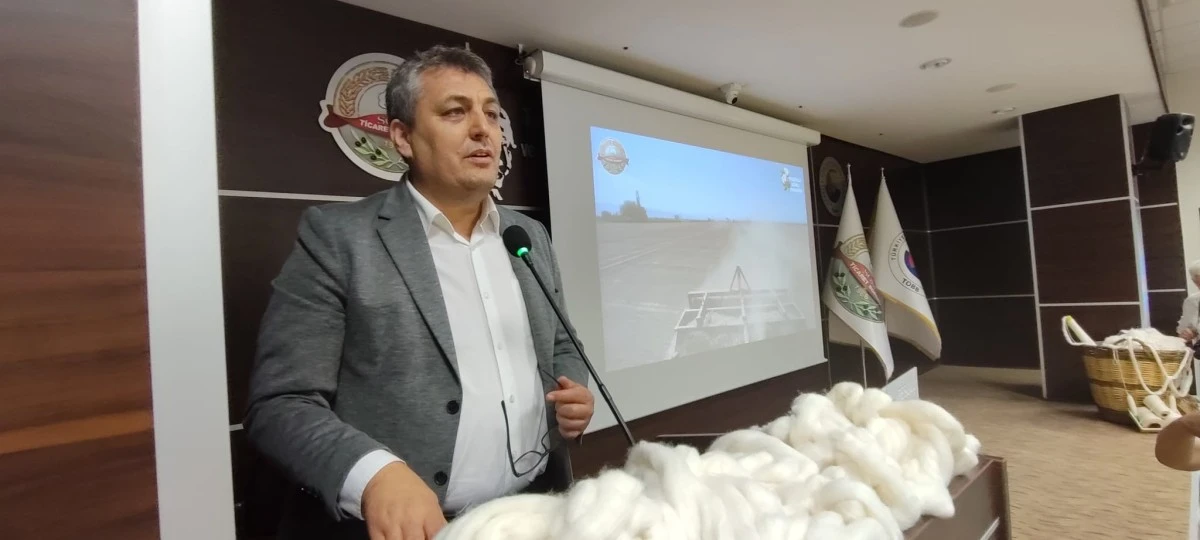 Türkiye'nin pamuk ambarı Söke'nin pamuğu tescillendi