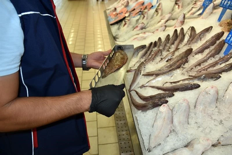 Aydın’da su ürünleri denetimi gerçekleştirildi