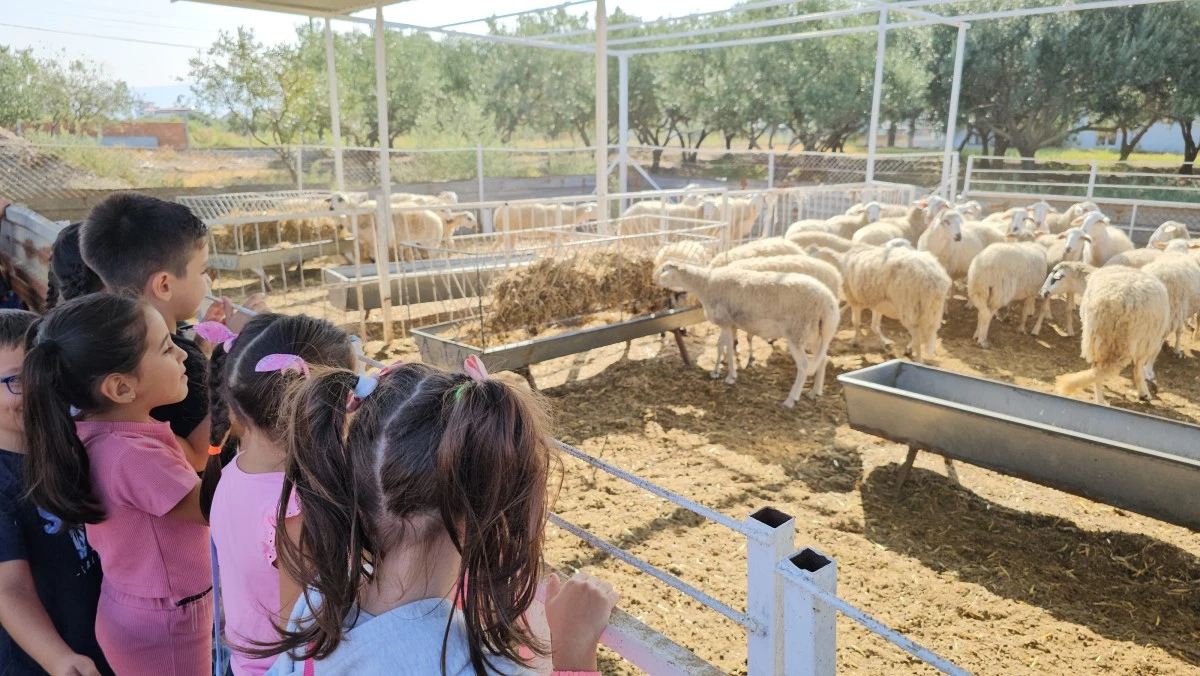 Kuyucaklı çocuklar buzağıları biberonla besledi