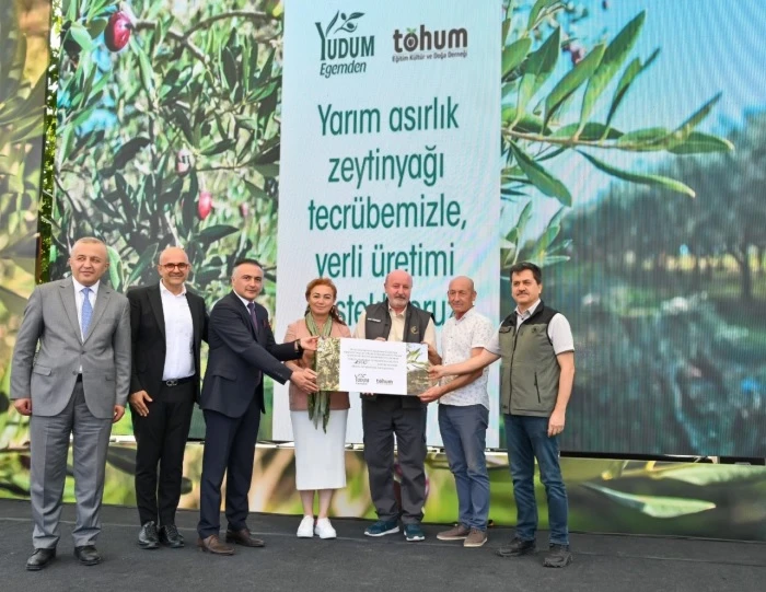 Türkiye’deki delice zeytinleri ekonomiye kazandırılmaya devam ediyor