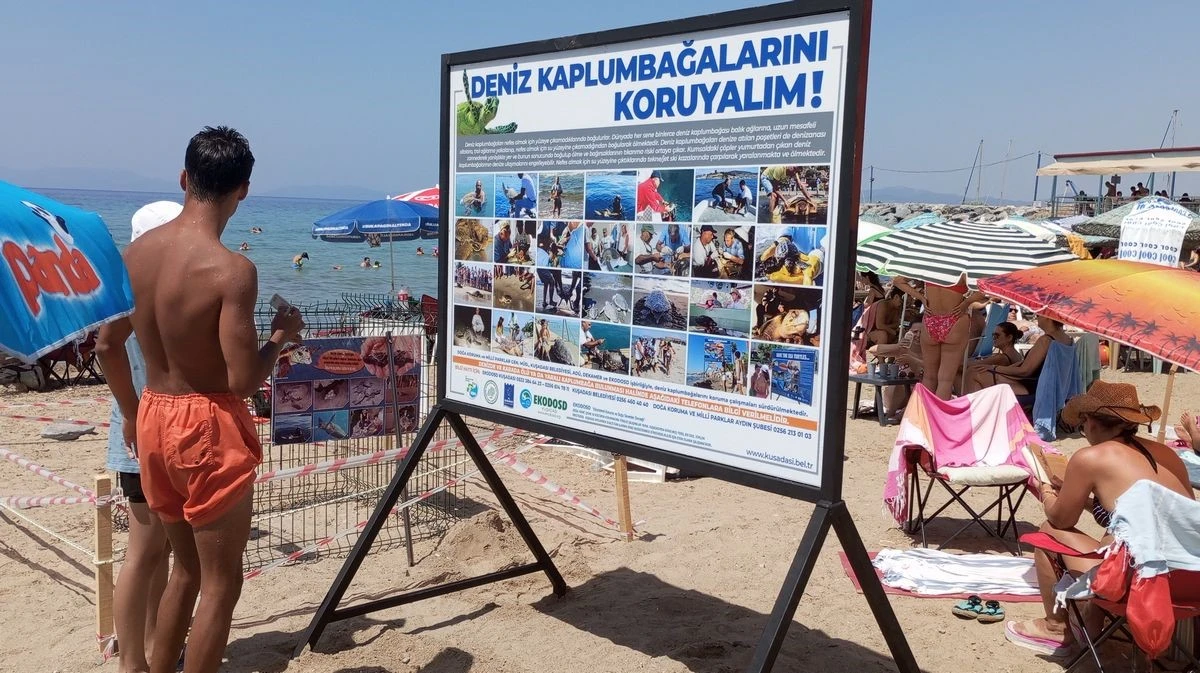 Sevimli kaplumbağaların denizle buluşması ilgiyle izlendi