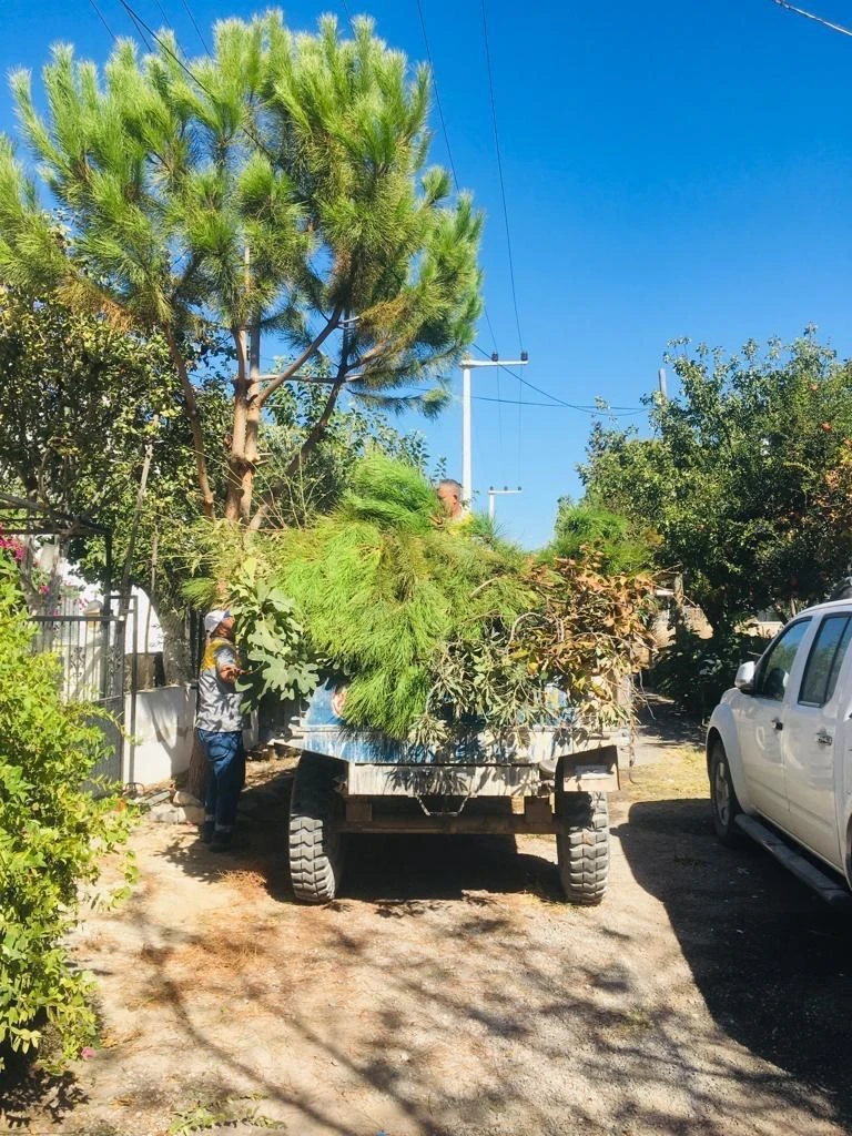 Didim’de mahalle ve köylerde çalışmalar sürüyor