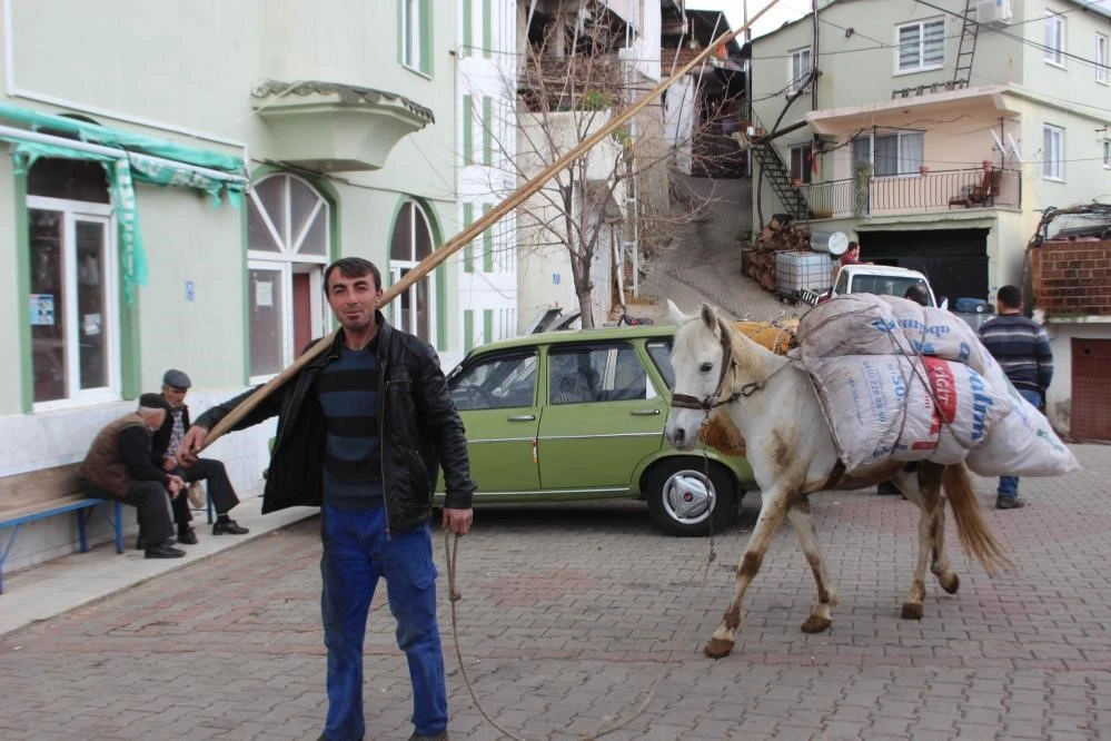Aydın dağlarında eşekler halen revaçta