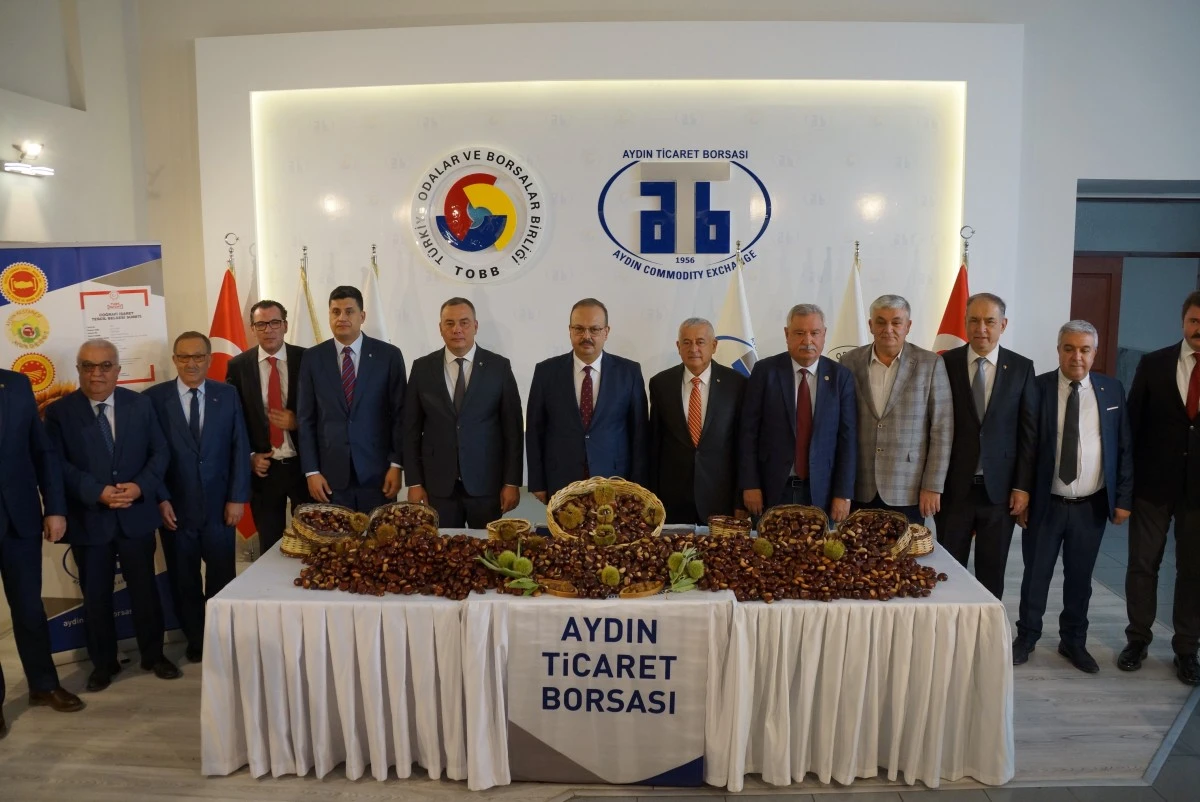 Aydın'da sezonun ilk kestanesi 350 TL’den alındı