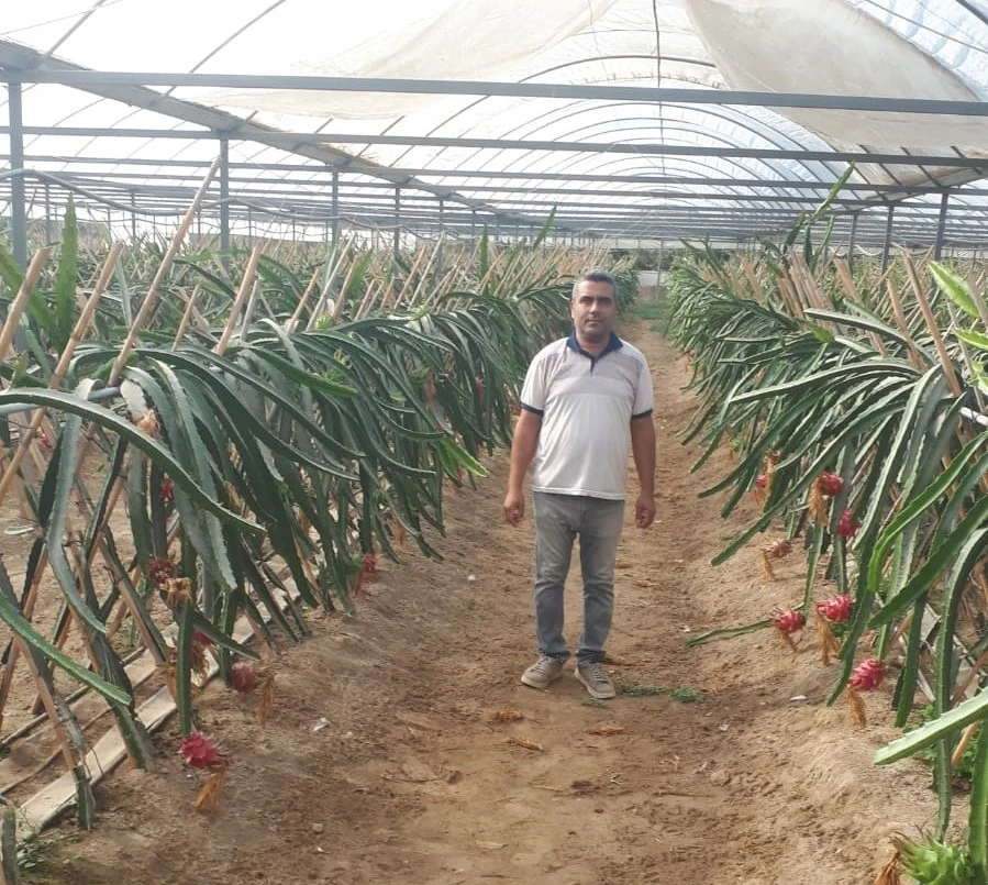 Küresel ısınma Aydın’da fırsata dönüşüyor