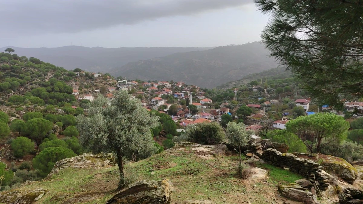 Aydın'da selin yaraları sarılmaya çalışılıyor