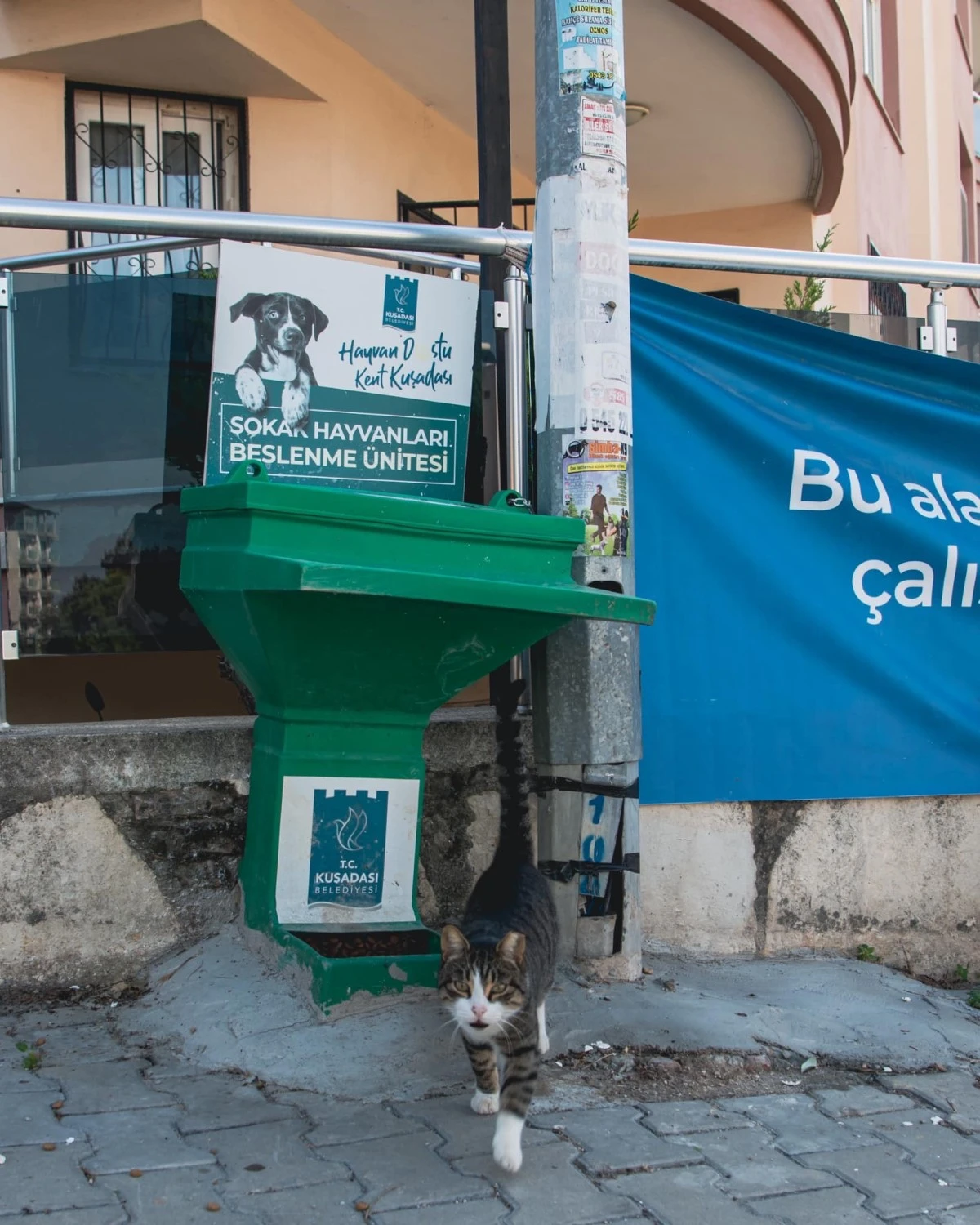 Kuşadası’nda sokak hayvanları unutulmuyor