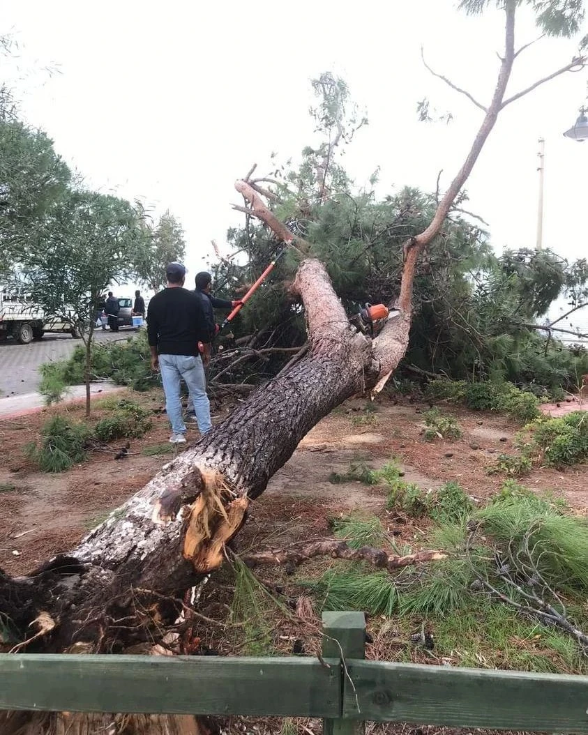 Didim’i şiddetli yağış vurdu