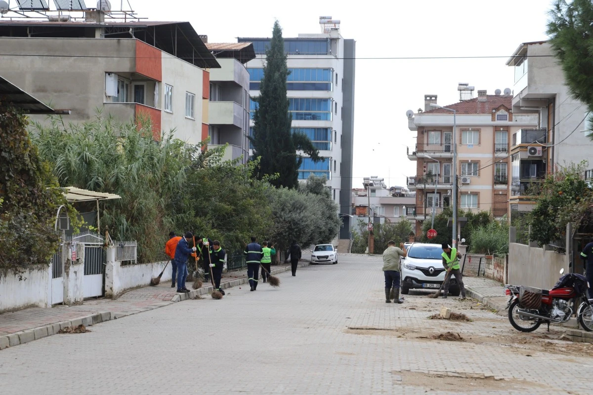 Nazilli Belediyesi'nden kış temizliği